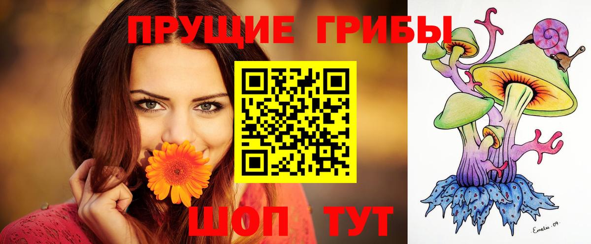 Галлюциногенные грибы Psilocybe  Галлюциногенные грибы Cubensis  Касимов  Вход с VPN 